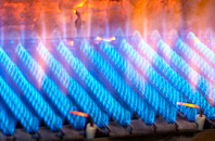 Broadmoor gas fired boilers